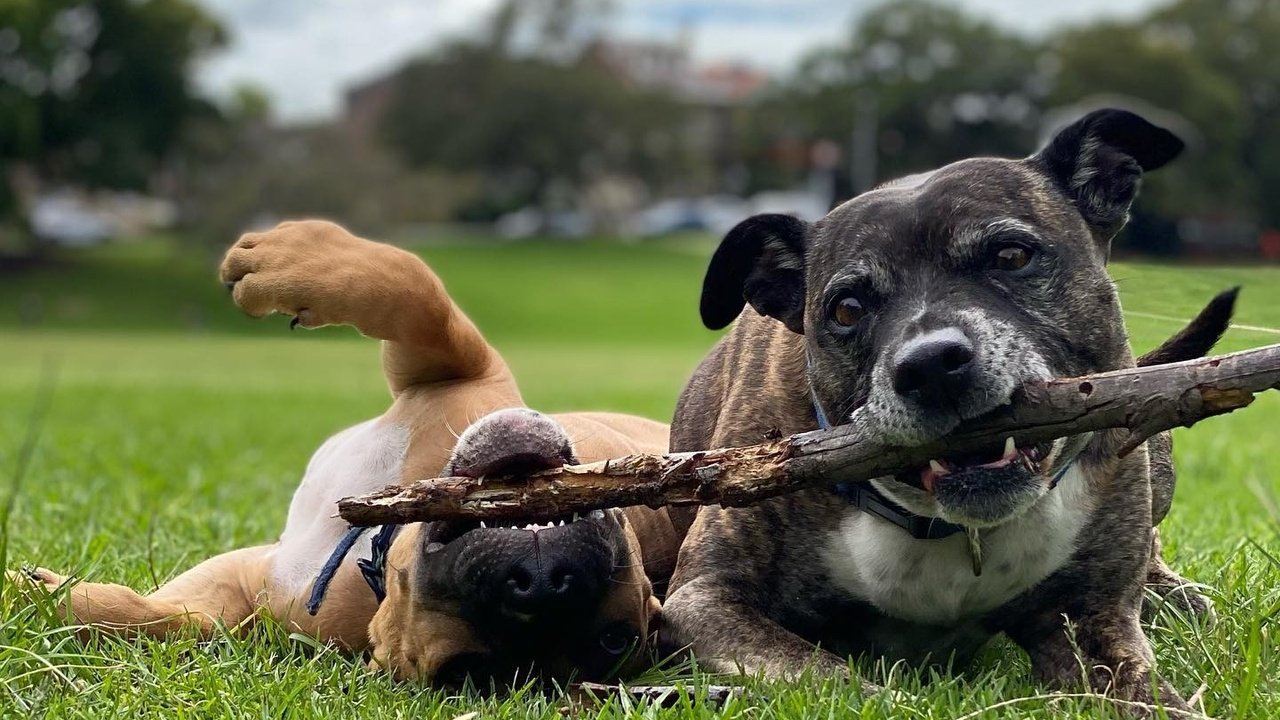learning to play